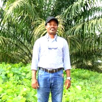 How I increased my oil palm plantation yields — Awelewa