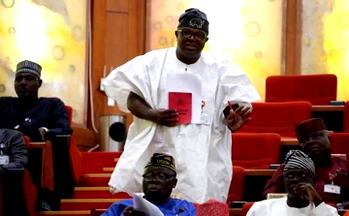 Assault on Nigerian Diplomat: An utmost insult to our sovereignty — Sen Tofowomo