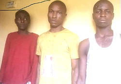 We use ‘banga’ as guns during operation — Robbery suspects