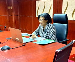 Rising Debt Stock: DG DMO calls for more revenue generation