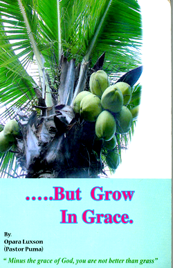 A priestly approach to growth in grace