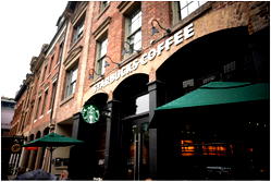 Starbucks in the Netherlands, company structure study
