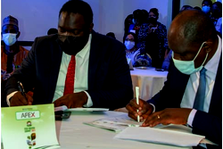 AFEX partners SWAgCo, Ogun Govt to develop staple crop zone for South-West states
