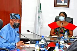 FHA, FCT, NIDCOM partner to deliver Diaspora Mega City
