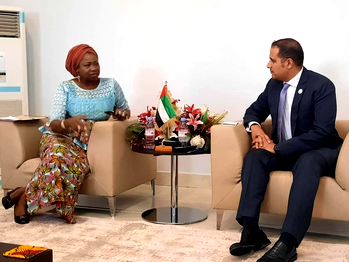 No official ban on work permit to Nigerians in UAE – Envoy