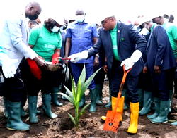 Gov Emmanuel institutes Akwa Ibom coconut day