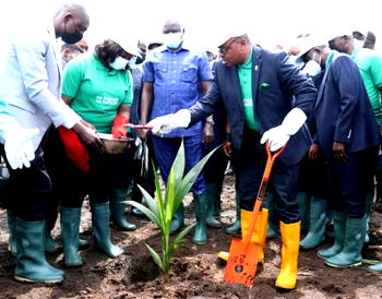 Gov Emmanuel institutes Akwa Ibom coconut day