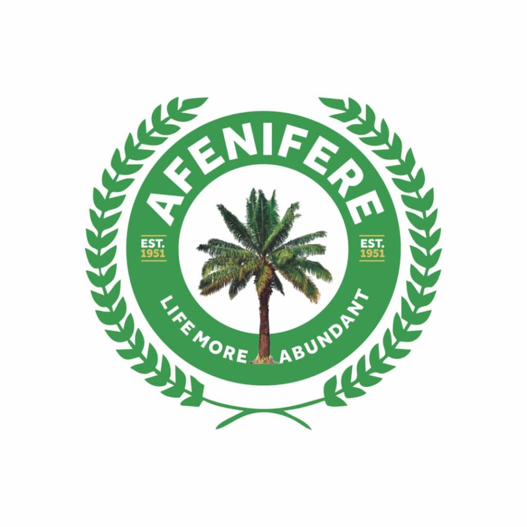 Afenifere, Igbo presidency