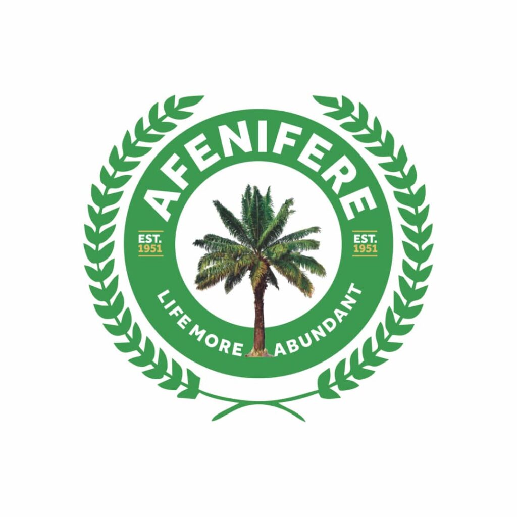 2027: Afenifere backs Southern rotational Presidency