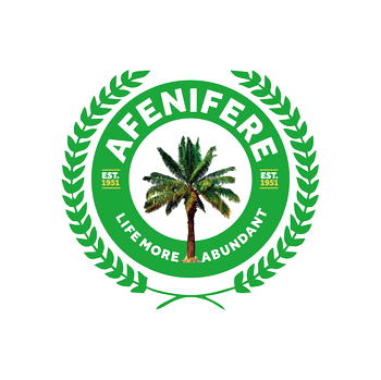 Afenifere: My suspension was political, not based on justice – Spokesperson 