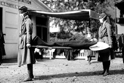 COVID-19 has killed about as many Americans as the 1918-19 flu
