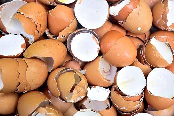 UNILORIN don discovers use of eggshell to tackle pollution
