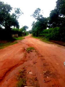 Constituency Project