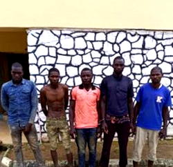 Police arrest 5 kidnappers, kill one in Kaduna