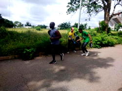 Climate change remains top priority as Swedish Ambassador, others pick  trash at the Abuja stadium
