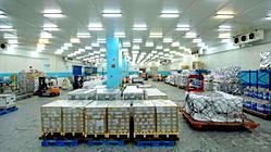 Emirates SkyCargo moves 400 million pharma kilos in a global milestone