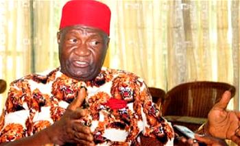 Nigerian youths bedevilled by get-rich-quick syndrome mentality ― Nniah Nwodo