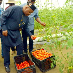 Udom Emmanuel: Casting agri-legacy in stone