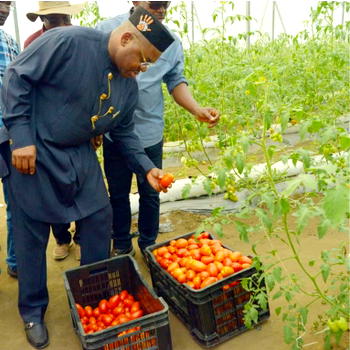 Udom Emmanuel: Casting agri-legacy in stone