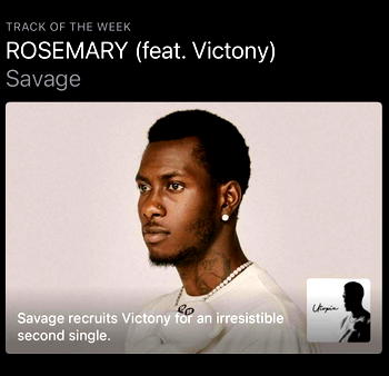 Apple Music picks hot tune, Rosemary by Nigerian rapper, Savage as ‘Track Of The Week’