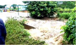 Flood leaves trail of sorrow, tears, and blood in S-West