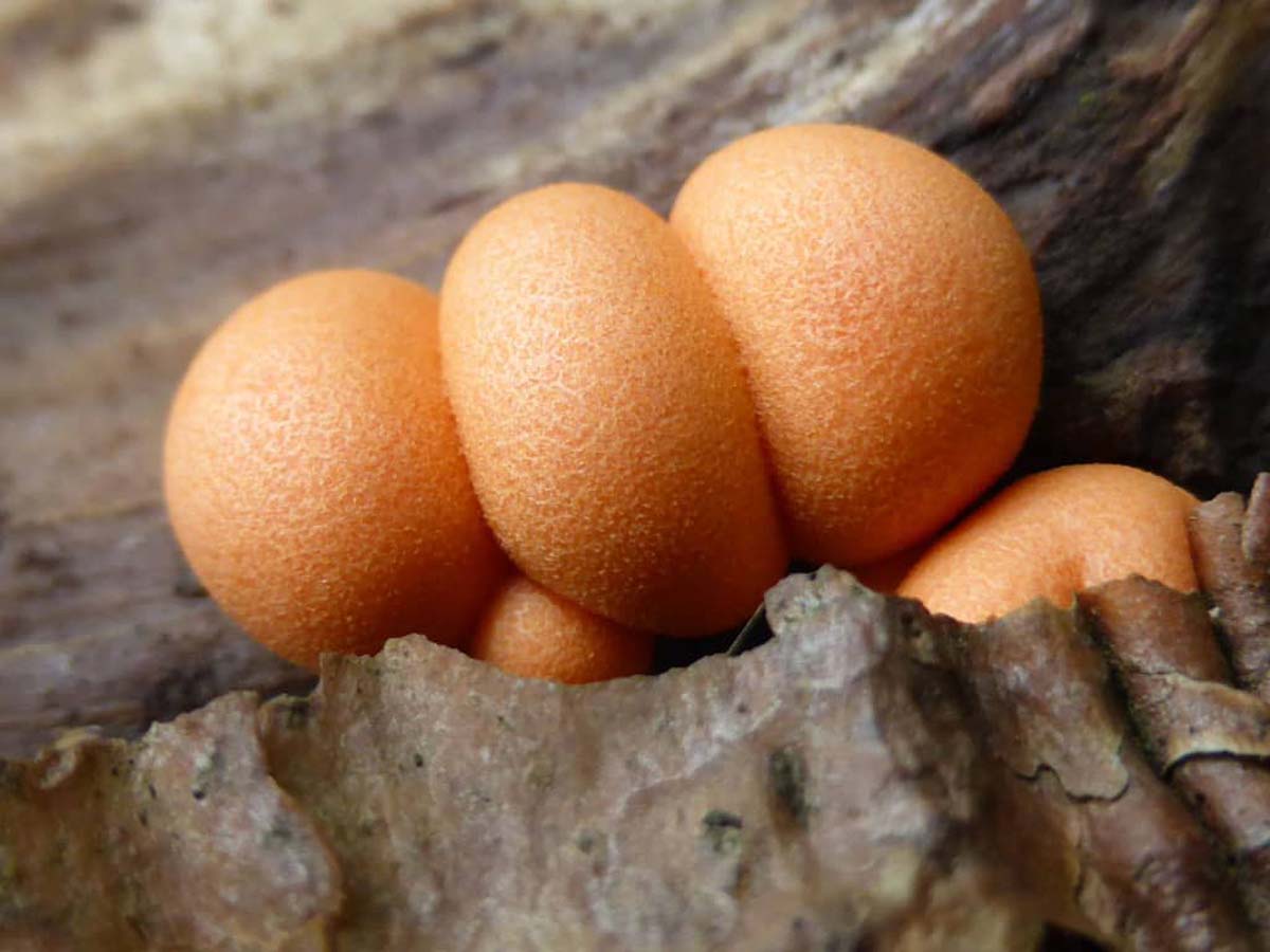 [SPONSORED] New Way To Restore Eyesight, Reverse and Cataract