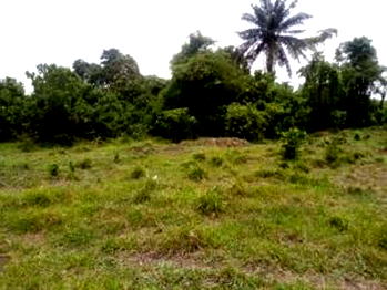 Land dispute b/w Ajangboju Koniwo Agbogbo Akindipe vs Fatusi Ogedengbe families in Atan Otta settled