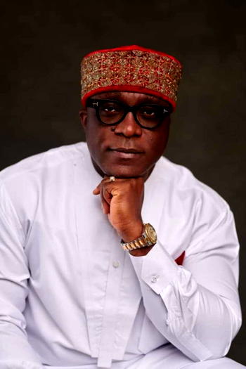 We can’t continue to cede Nigeria’s political space to  scoundrels — Okonkwo