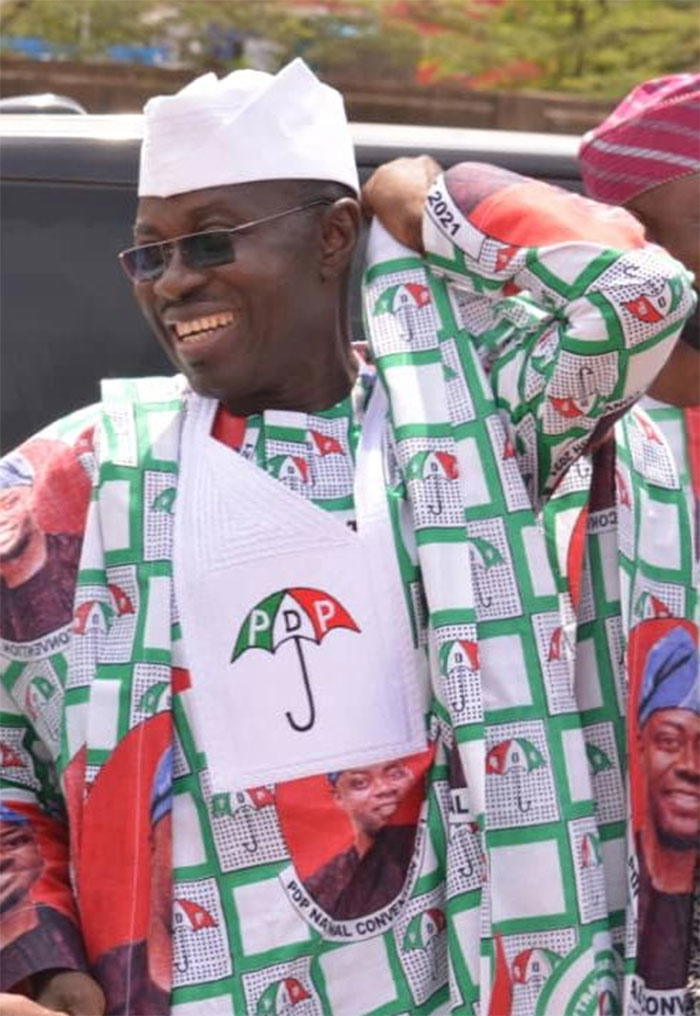 Breaking: Arapaja beats Oyinlola to emerge PDP Deputy National Chairman, South