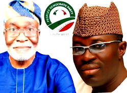 PDP South: Ambassador Arapaja has experience, record, pedigree to lead — Owokoniran