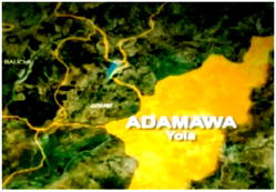 Adamawa gets new Chief Judge