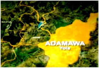 Adamawa gets new Chief Judge