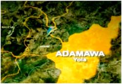PDP demands removal, prosecution of Adamawa REC<br><br>