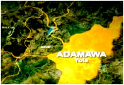 PDP demands removal, prosecution of Adamawa REC<br><br>