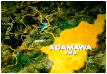 PDP demands removal, prosecution of Adamawa REC<br><br>