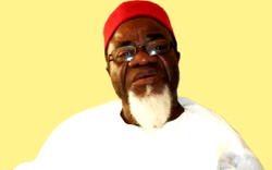 [VIDEO]  Kanu trial: Former Anambra gov, Ezeife, barred from entering court premises