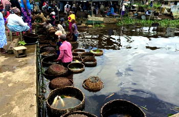 FG to upgrade Epe fish market in Lagos ― Lawmaker