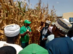 We’re out to address Nigeria’s food shortage — Coy MD