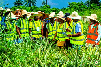 Imo govt trains youths on agro farming