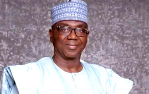 Ban on open grazing difficult to enforce — Gov Abdulrazaq