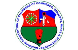NACCIMA deepens Nigeria-China ties with tour of Guangzhou factories