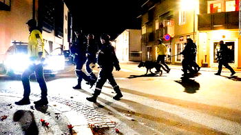 Suspect in Norway bow and arrow attack is speaking to police – Lawyer