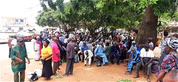 Pensioners protest in Benue, demand payment of backlog by successive govts
