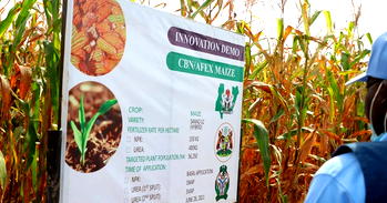 AFEX, CBN partner to train farmers on innovative, best practices to increase productivity