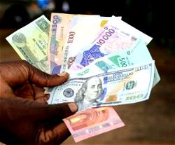 Forex: <strong>FG laments dominance of foreign academic materials in educational institutions</strong>