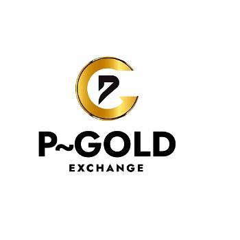 P~Gold Exchange redefines cryptocurrency world