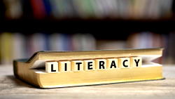Nigeria has 38% non-literate adult population – Commission
