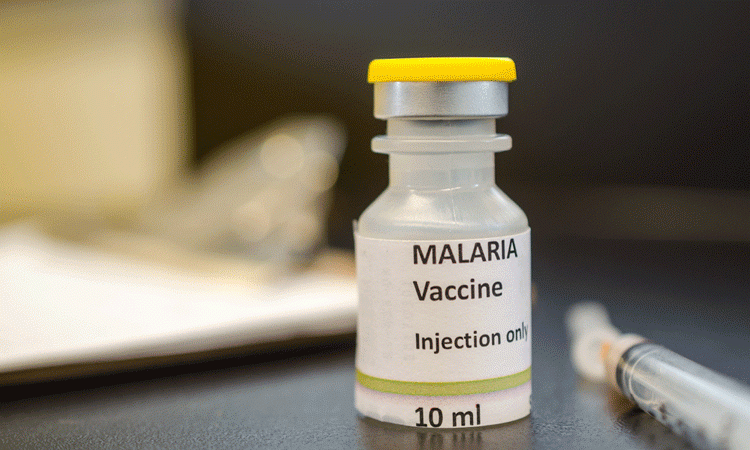 Ground-breaking malaria vaccine excites Northeast stakeholders