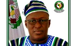 Coups, tenure elongation: ECOWAS risks being called body of failed states – Parliament