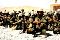 Afghan security forces kill IS militant in Kabul